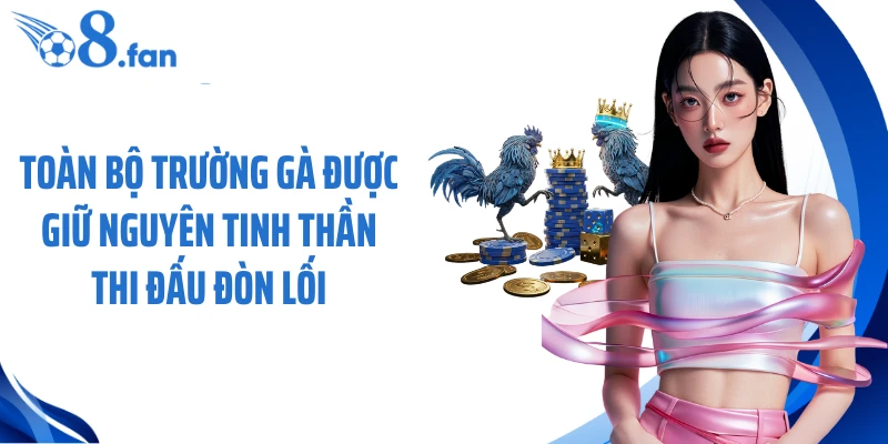 Toàn bộ trường gà được giữ nguyên tinh thần thi đấu đòn lối